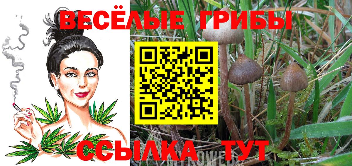 Псилоцибиновые грибы мухоморы  Вход с VPN  Советск 