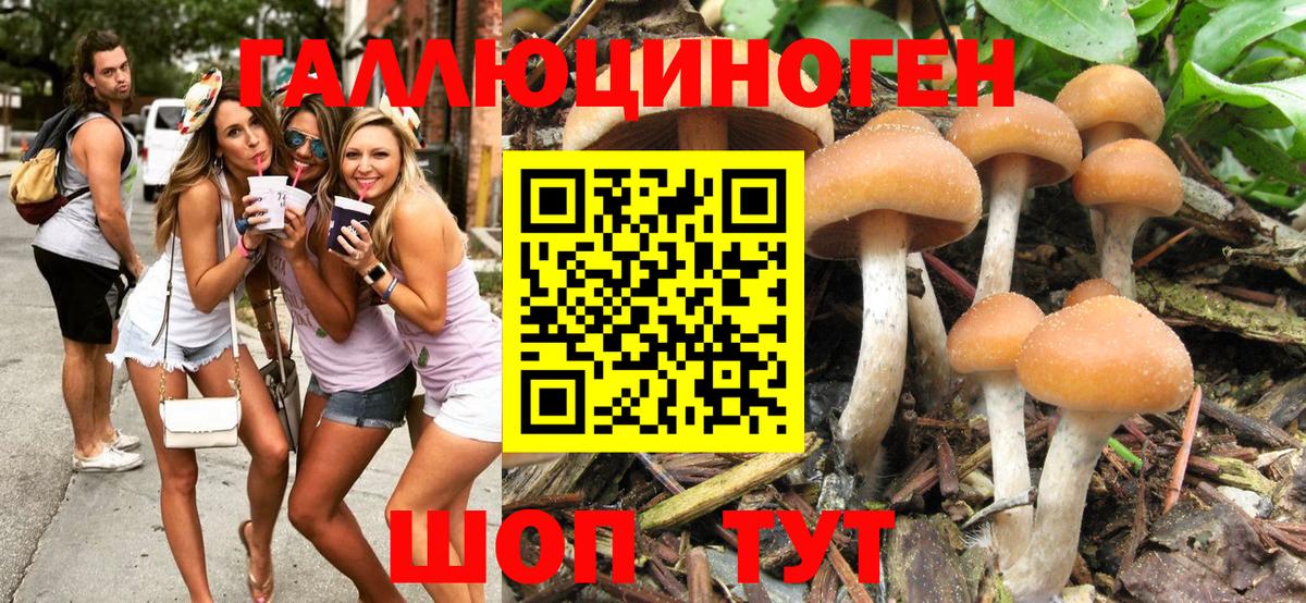Псилоцибиновые грибы GOLDEN TEACHER Советск